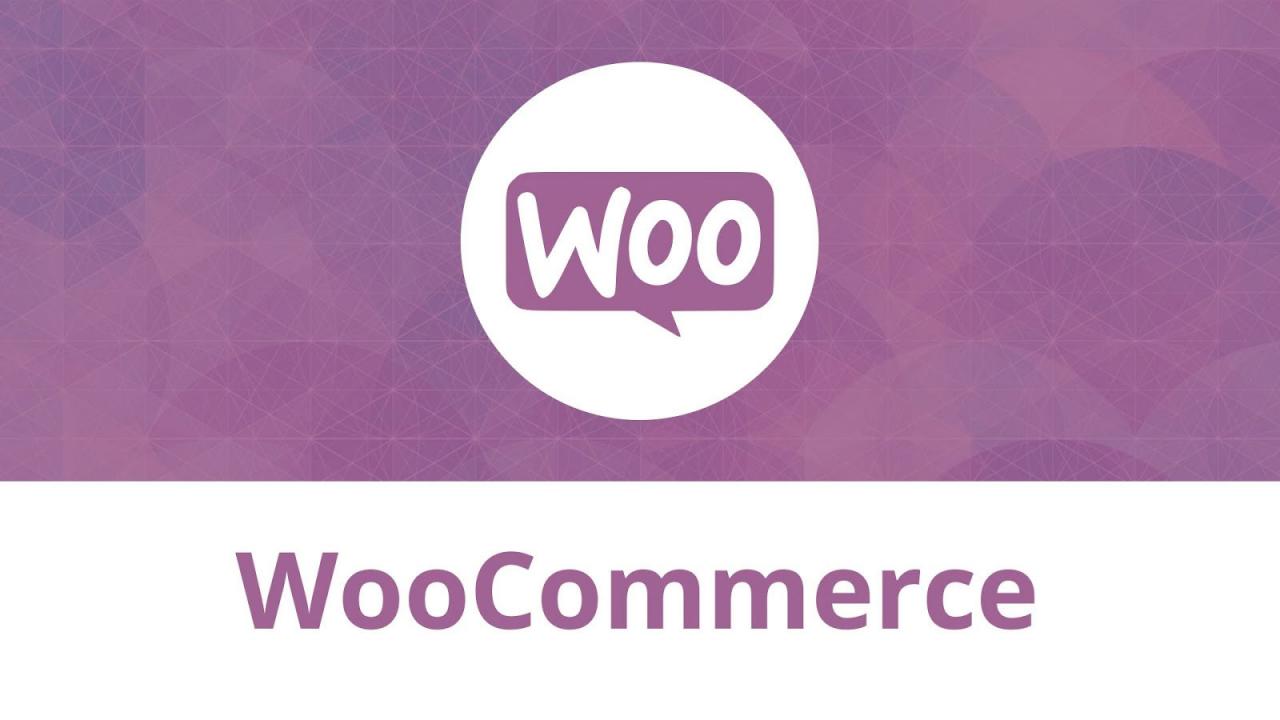 28% of online stores enjoy the features WooCommerce