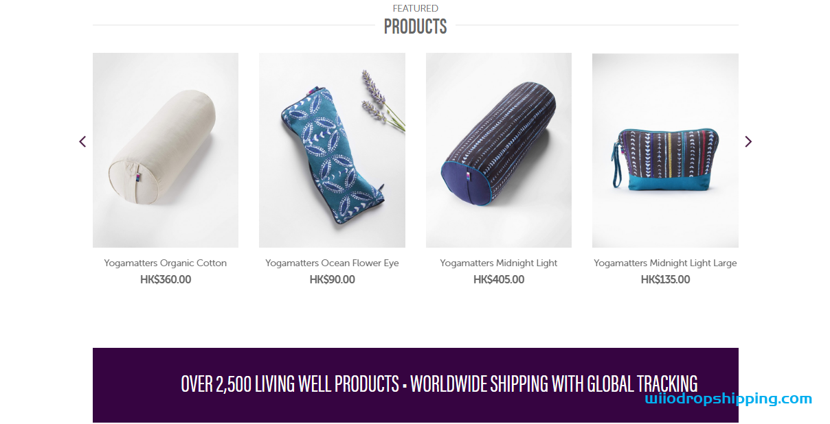 Top 6 Yoga Supplies Wholesale Supplier(FAQs Provided)