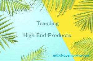 8 Trending High End Products You Can Dropship at Wholesale Price