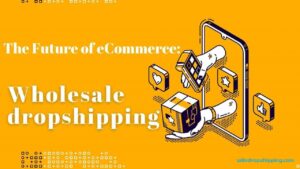 Is Dropshipping Still Profitable Today in 2022? Or Not?| The Future of eCommerce: Wholesale Dropshipping