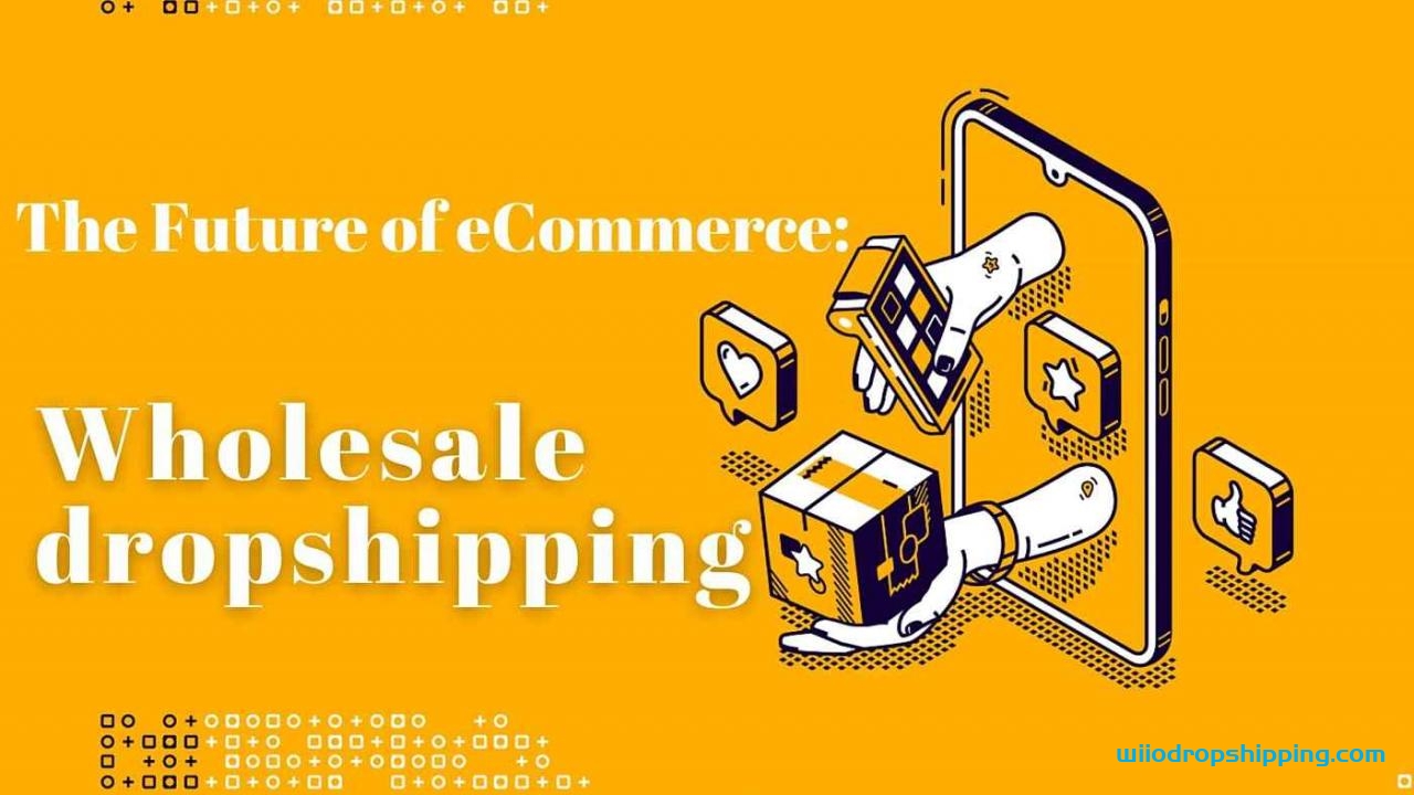 Is Dropshipping Still Profitable Today in 2022? Or Not?| The Future of eCommerce: Wholesale Dropshipping