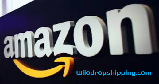 Amazon Dropshipping Guide - How to Launch a Business in 2022