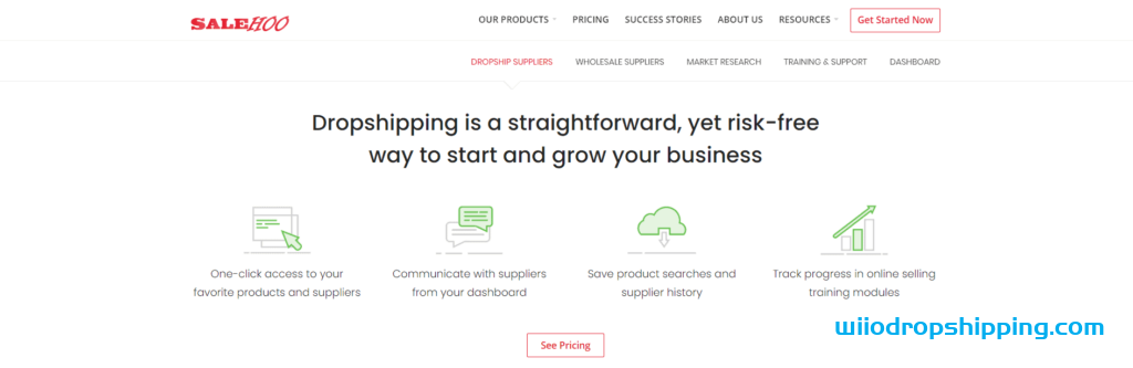The Best Dropshipping Suppliers In Europe 2022 (Free & Paid)
