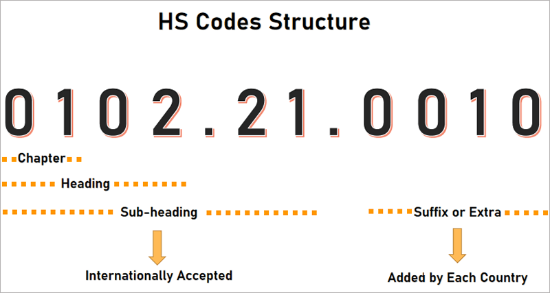 Use HTS Code to Calculate Import Duty from China to the US