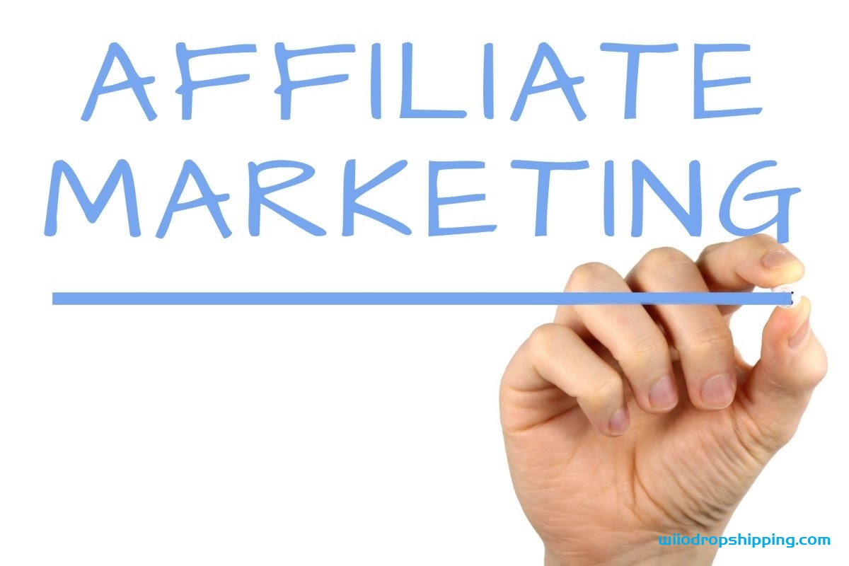Affiliate Marketing vs Dropshipping: Which to Choose